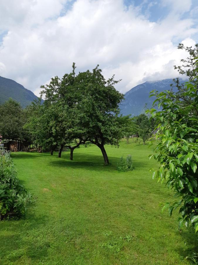 Socaland Glamping Hotel Bovec Buitenkant foto